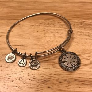 Alex & Ani Silver Good Luck Bangle